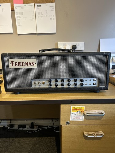 Friedman twin sister amp - twin,