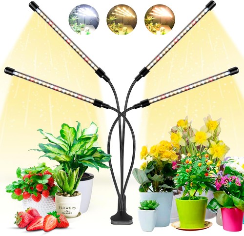 Led heads full spectrum - 80,