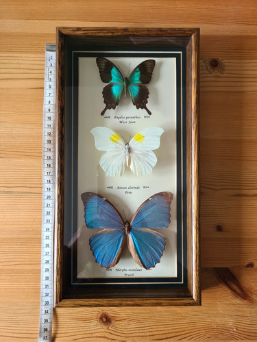 Vintage set framed - of, 3