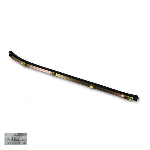 Outer weather strip door - outer,