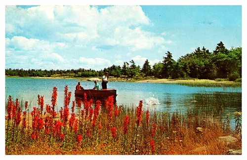 Postcard boat scene perth - postcard,