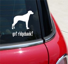 GOT RIDGEBACK? RHODESIAN DOG