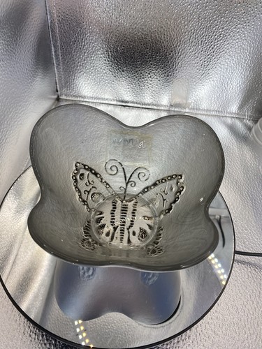 Monna glass butterfly - monna,