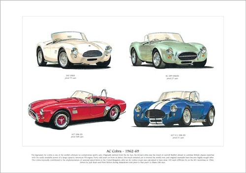 Cobra the sports - cobra,