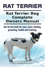 Rat Terrier. Rat Terrier Dog