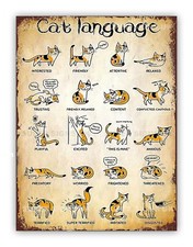 Funny " Cat Language "
