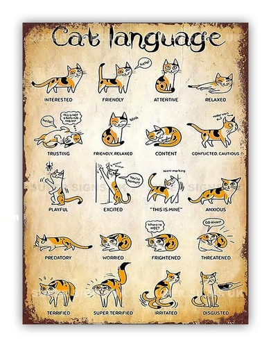 Funny cat language - funny, "