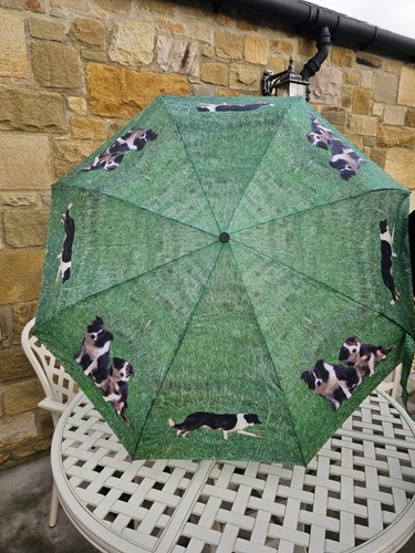 Border collie umbrella - collie,