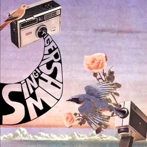 Tiger saw sing 2005 - saw,
