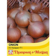 Onion Seeds Annual Vegetable Garden Plants 'Hi Keeper' 1 Packet 80 Seeds T&M