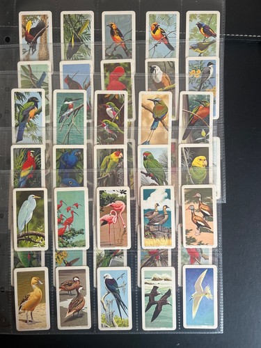 Brooke bond full set - (tea)-full, set-