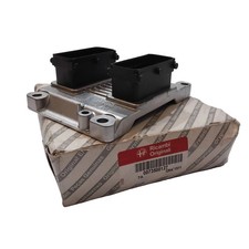 Engine / Injection ECU - Alfa