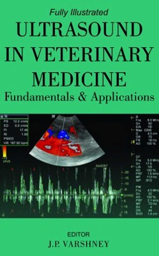 Ultrasound veterinary - in,