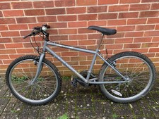 Townsend Shooting Star ladies