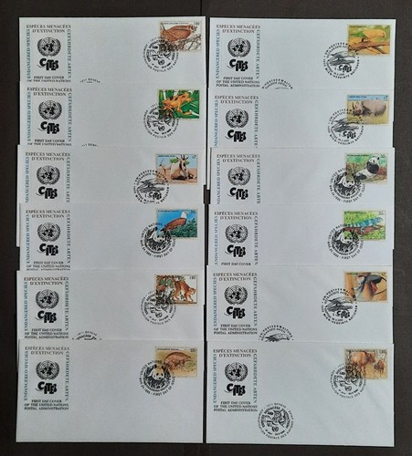 United nations - united,