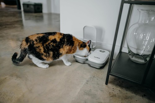 Cat mate c200 - c200, meal