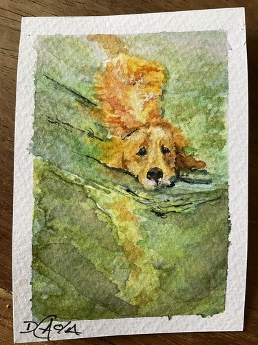 Ooak aceo original - ooak,