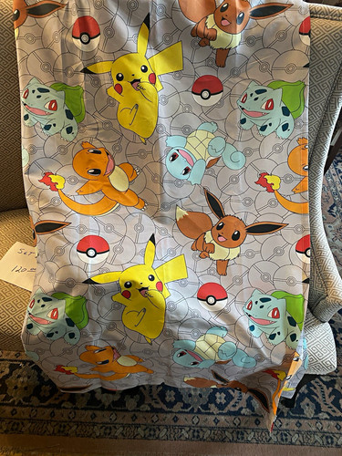 Pokémon kids curtains wide - pokémon,