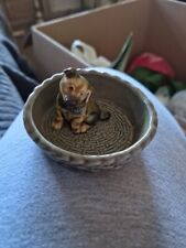 Wade Alsation Puppy In A