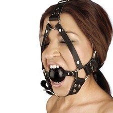 Head Harness and Ball Gag