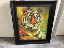 Rolf Harris Tiger Supreme