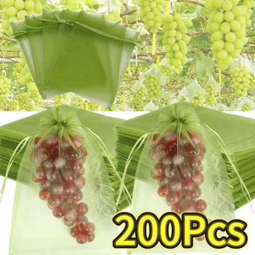 200pcs fruit protection - fruit,