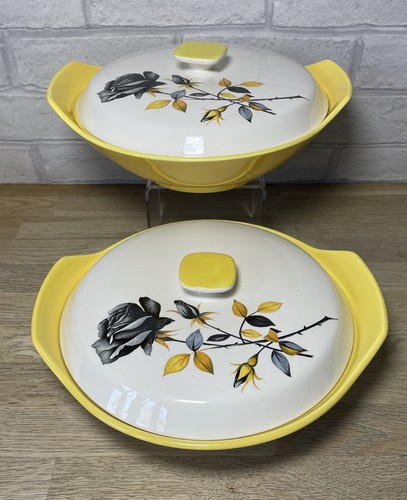 Vintage palissy black prince - vintage,