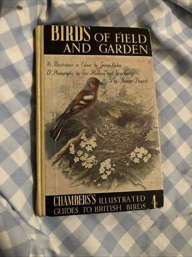 Birds field garden john - field,
