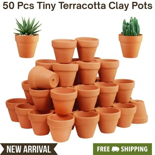 50pcs mini terracotta - mini,