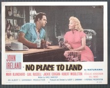 No Place to Land 11"x14" Lobby