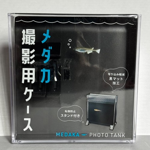 Medaka fish photo - photo, case