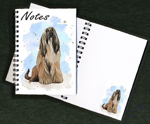 Afghan hound dog - afghan,