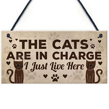 Funny Cat Gifts For Cat Lovers Gift For Women Home Decor Animal Sign Pet Gifts