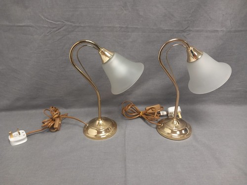 Pair vintage dar lamp frosted - vintage,