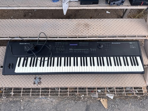 Kurzweil peeformance - kurzweil,