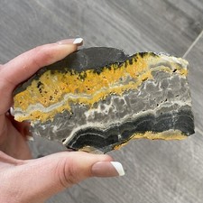 Bumblebee Jasper - Slice