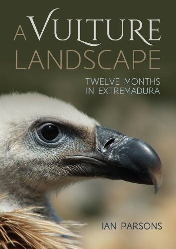 Vulture landscape ian - a,