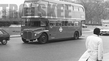 35mm Black and White Negative