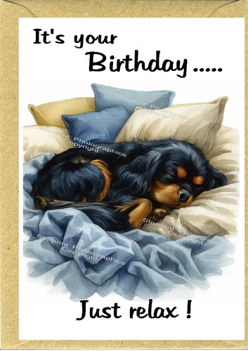 Cavalier king charles - king,