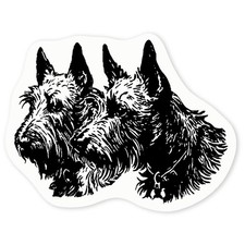 'Scottish Terrier Couple'