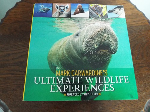 Ultimate wildlife experiences - wildlife,