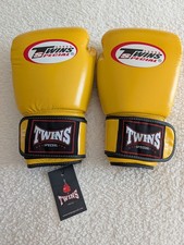 Twins Special Muay Thai Boxing