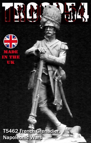 Troop54 napoleonic french - napoleonic,