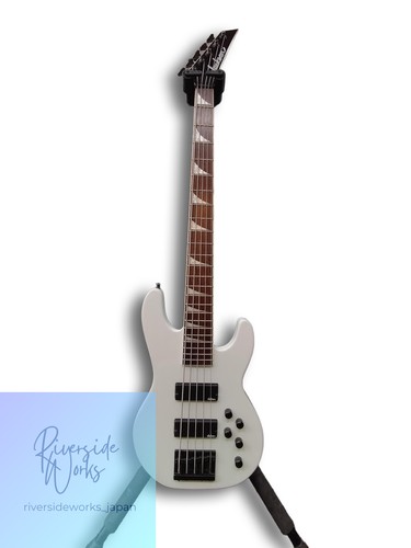 Jackson electric bass concert - jackson,