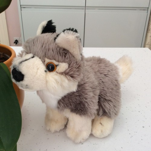 Nature planet plush grey wolf - nature,