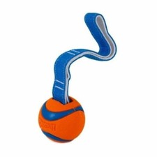 Chuckit Ultra Dog Tug, Designed for Rough Play, High Bounce & High Durability, M