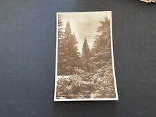 The Pinetum Bodnant Gardens unused vintage postcard A23683