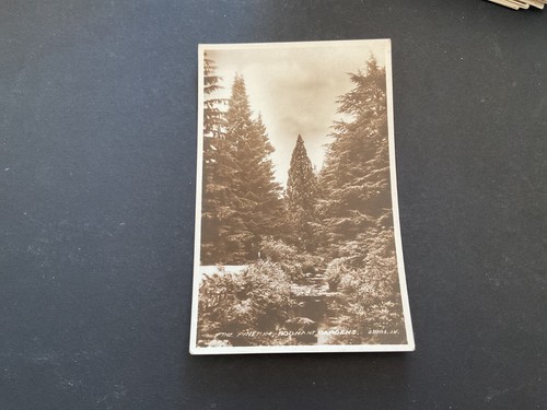 The pinetum bodnant gardens - bodnant,