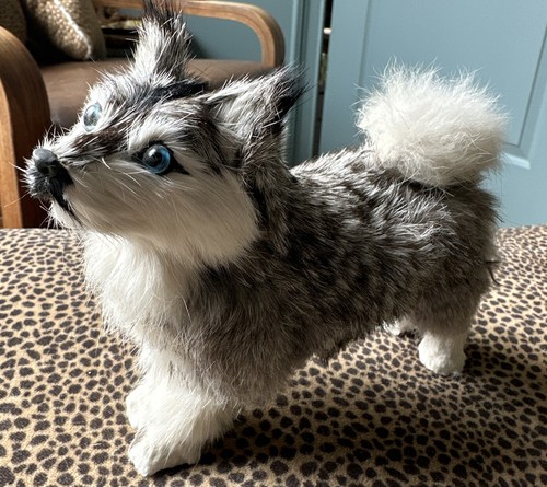 Vintage husky malamute - vintage, dog
