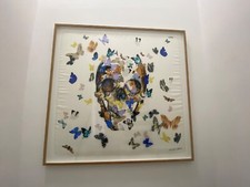 Framed Alexander McQueen Damien Hurst Jacob's Ladder butterfly skull